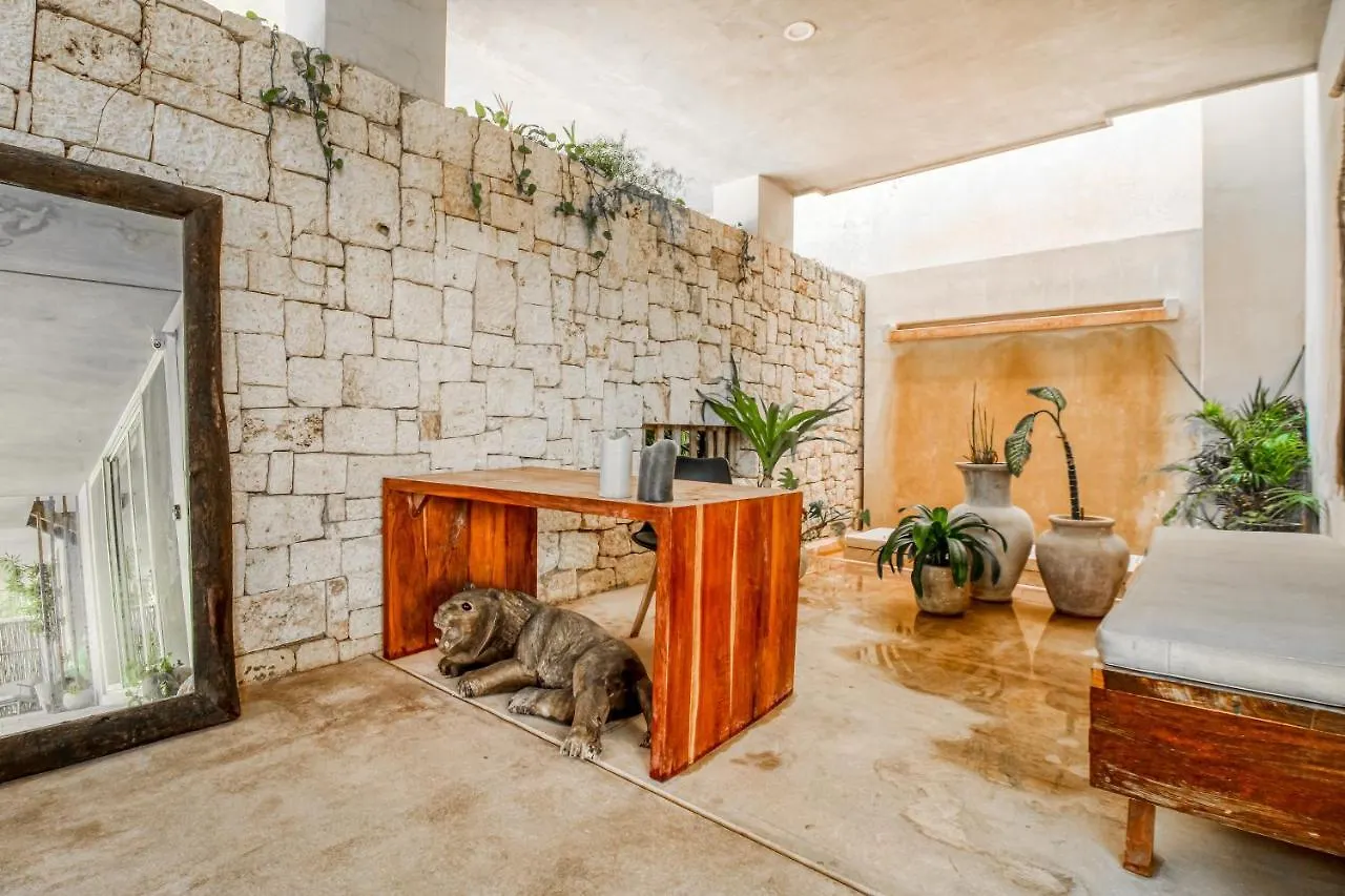 公寓 Tierra Blanca Tulum 202公寓